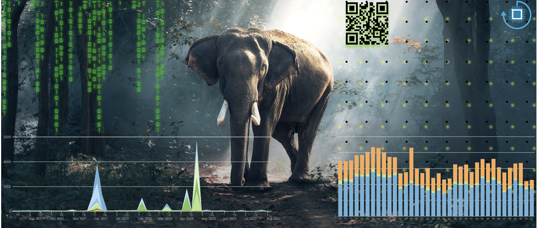 You are currently viewing Data Analytics in Transforming Wildlife Conservation